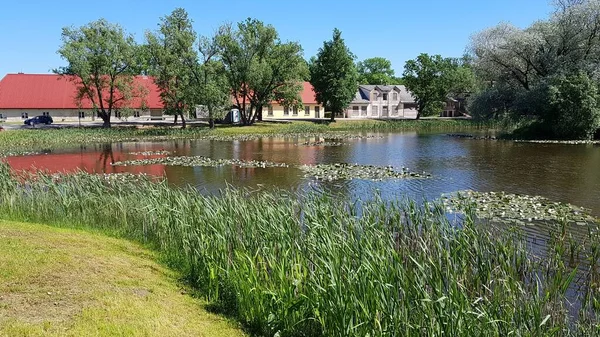 Huizen Een Stuwmeer Begroeid Langs Kust Met Gras Het Letse — Stockfoto