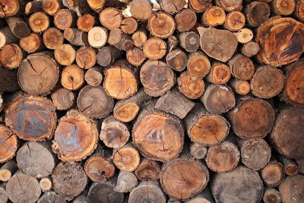 Brandhout Voor Winter Wordt Gestapeld Een Boerderij Het Dorp — Stockfoto