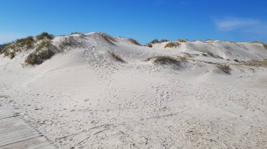 Baharın ortasında Riga Körfezi kıyısında kum tepeleri..