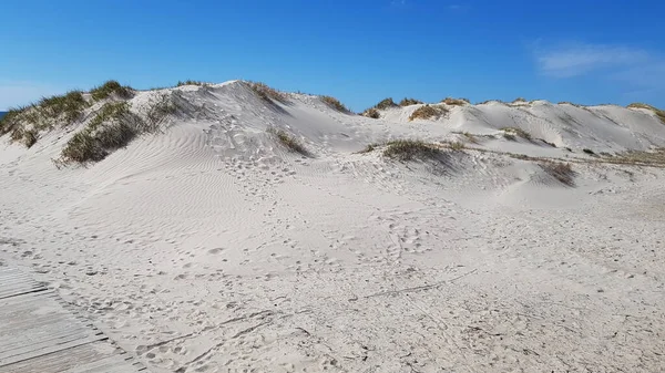 Песчаные Дюны Побережье Рижского Залива Середине Весны — стоковое фото