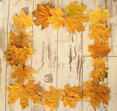 Masadaki kuru akçaağaç yaprakları eski bir ağacın arka planına sahip büyük bir çerçeve oluşturur..