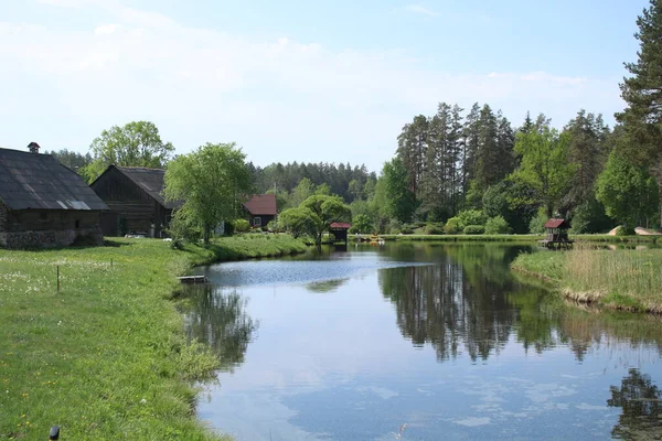 Pequeno Lago Nos Arredores Fazenda Letã Final Maio 2019 — Fotografia de Stock