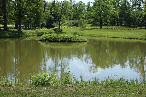 Small Pond Surrounded Trees Shores Covered Lush Green Grass — Stock Photo, Image