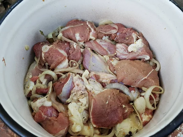 Carne Porco Cebola Fresca Cortadas Pedaços Grandes Marinados Uma Grande — Fotografia de Stock