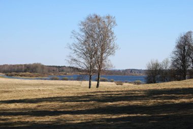 Rusya 'nın Pskov bölgesinde bulutsuz ve güneşli bir günde tarlalar, karışık ormanlar ve güzel bir göl. Nisan 2019.