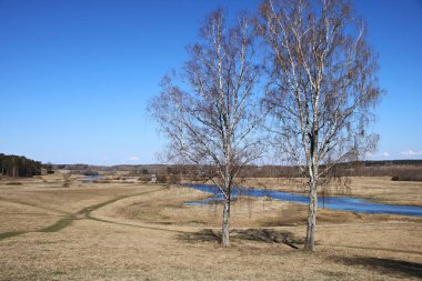 Rusya 'nın Pskov bölgesinde bulutsuz ve güneşli bir günde tarlalar, karışık ormanlar ve güzel bir göl. Nisan 2019.