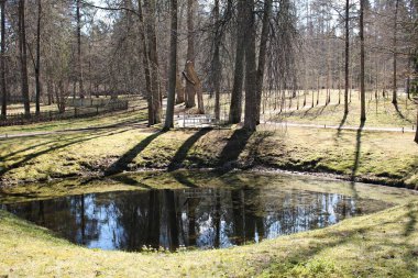 Rusya 'nın Pskov bölgesinde bulutsuz ve güneşli bir günde tarlalar, karışık ormanlar ve güzel bir göl. Nisan 2019.