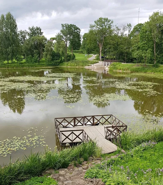 Piccolo Stagno Paesaggio Verde Vicino Castello Jaunpils Lettonia Luglio 2019 — Foto Stock