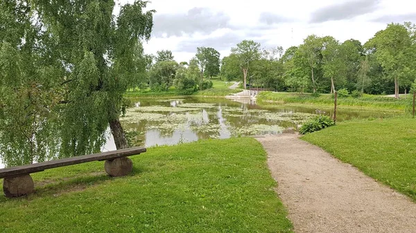 Small Pond Green Landscape Jaunpils Castle Latvia July 2019 — Stock Photo, Image