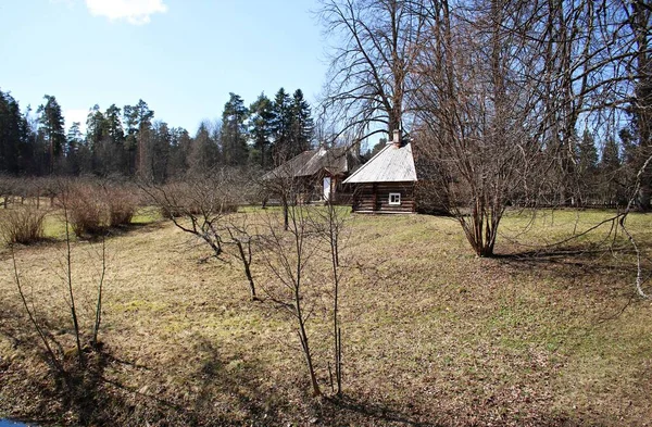 Saubere Holzgebäude Frühen Frühling Dorf Savkino Region Pskov Russland April — Stockfoto