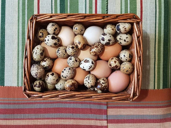 Jaja Przepiórcze Kurze Wielobarwne Koszyku Przygotowanym Wielkanoc — Zdjęcie stockowe