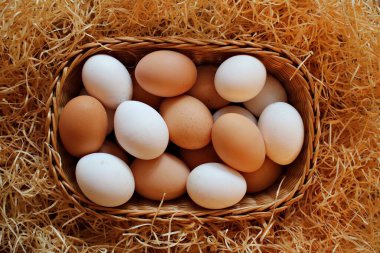 Tavuk ve bıldırcın yumurtası insanların Paskalya 'yı kutlaması için bir gelenektir..