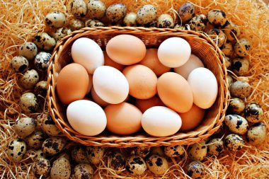 Tavuk ve bıldırcın yumurtası insanların Paskalya 'yı kutlaması için bir gelenektir..