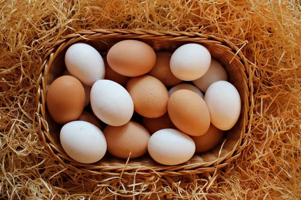 Tavuk ve bıldırcın yumurtası insanların Paskalya 'yı kutlaması için bir gelenektir..