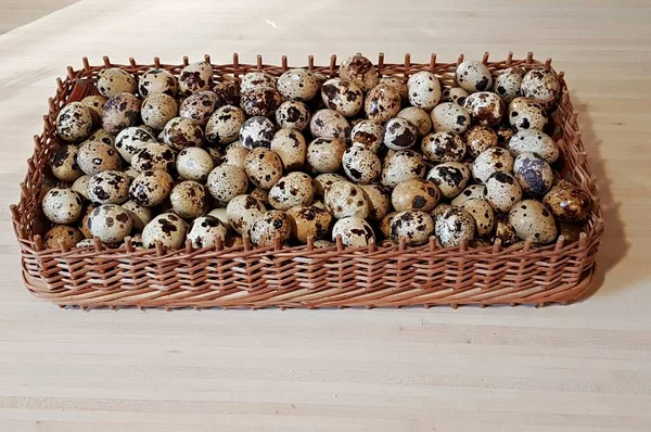 Oeufs Poulet Caille Comme Tradition Pour Les Gens Célébrer Pâques — Photo