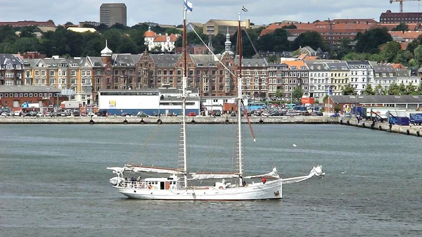 Stora Och Små Segelfartyg Och Yachter Den Danska Hamnen Århus — Stockfoto