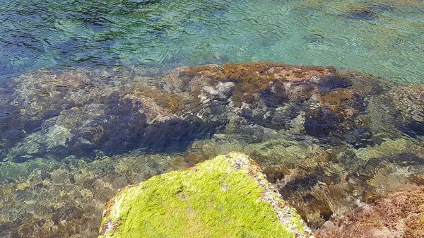 Água Morna Transparente Durante Todo Ano Costa Argelina Rochosa — Fotografia de Stock