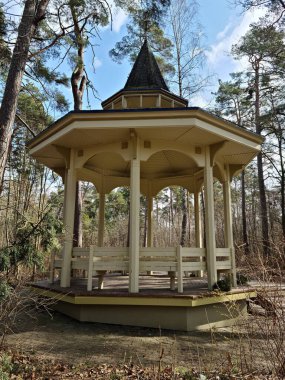 Rahatlamak için ormandaki çam ağaçlarının arasına küçük ahşap bir çardak inşa edilir..