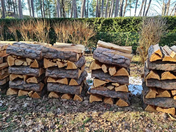 Lenha Cortada Troncos Empilhada Pilha Preparada Para Próximo Inverno — Fotografia de Stock