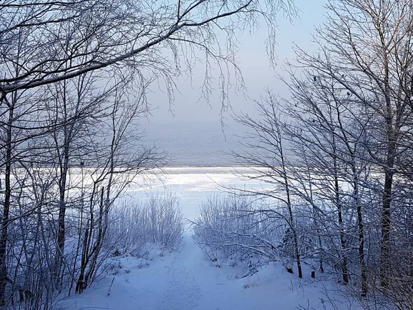 Caminho Para Praia Inverno Costa Nevada Golfo Riga — Fotografia de Stock