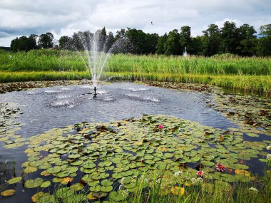 Zambaklarla kaplı küçük yapay gölet. Gökteki yağmur bulutları.