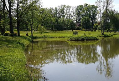 Üzerinde yeşil çimenler olan küçük gölcükler..