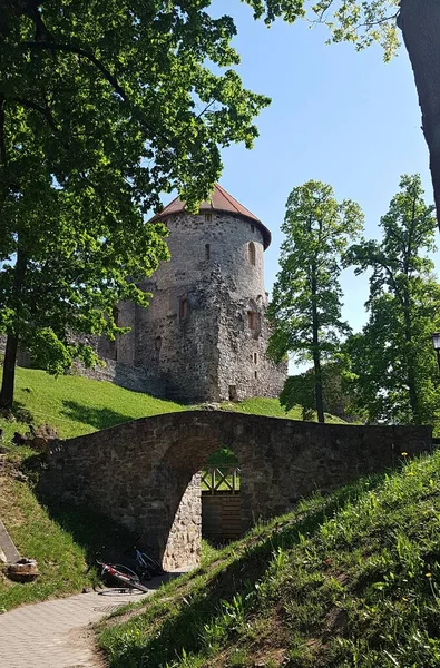 Cesis Medieval Castle Historical Decoration Latvian City Cesis May 2019 — Stock Photo, Image