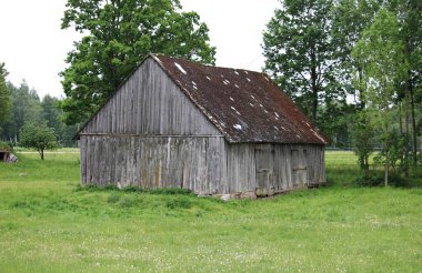 Mayıs 2019 'da Letonya ormanındaki yeşil bir çayırda terk edilmiş ve işe yaramaz eski bir ahşap kulübe..