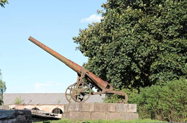 在多加弗皮尔城堡里的古老的军用大炮作为展品 拉脱维亚 2019年7月 — 图库照片