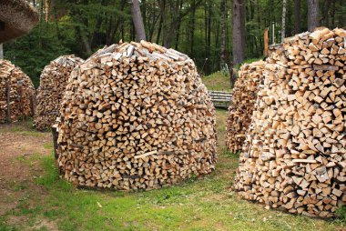 lumbered chopped firewood for the winter and piled in large packs. Melnsils, Kempings, Latvia 06 June 2019.