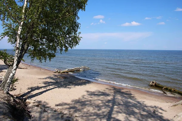 Air Dingin Teluk Riga Dan Kehidupan Liar Sepanjang Pantai Ekstrim — Stok Foto