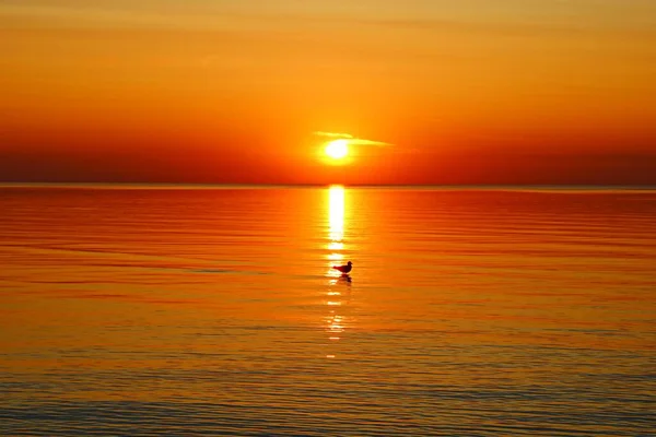 Kleurrijke Ongewoon Heldere Kleuren Zonsondergang Bij Rustig Weer Van Zee — Stockfoto