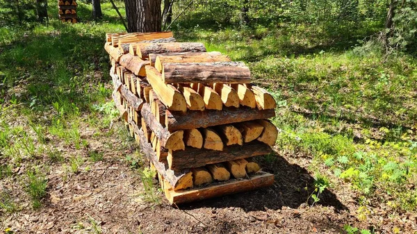 Bois Chauffage Haché Empilé Petite Pile Parmi Les Pins Forêt — Photo