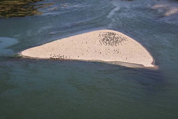 Isla Arena Bañada Por Arroyo Agua Medio Del Río — Foto de Stock