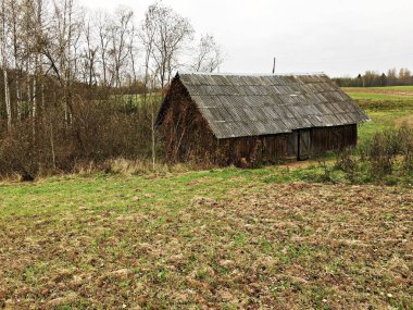 Bir sonbahar ormanının eteklerinde çok eski bir ahşap kulübe..