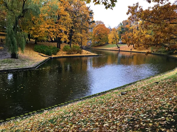 Kolorowy Jesienny Krajobraz Żółtymi Złotymi Liśćmi Brzegach Rzek Jezior — Zdjęcie stockowe