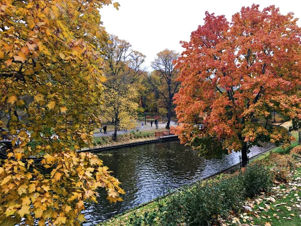 Autumn Colored Leaves Trees Banks City Canal Riga Latvia November — Stock Photo, Image