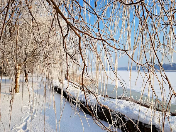 Paisagem Inverno Dia Ensolarado Gelado Com Costas Cobertas Neve Fofa — Fotografia de Stock