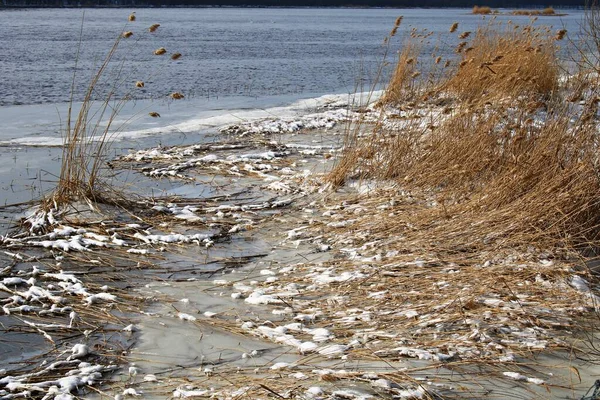 Natura Forestale Invernale Sponde Innevate Fiume Onde Piene — Foto Stock