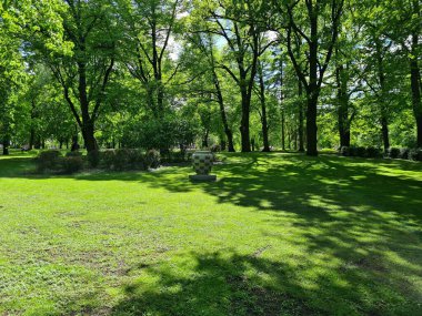 Büyük taş vazo parktaki büyük yeşil çimlere sabitlenir..