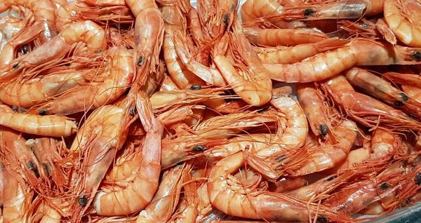 Large Tiger Prawns Delicious Seafood Delicacy Gourmets Lovers Asian Cuisine — Φωτογραφία Αρχείου