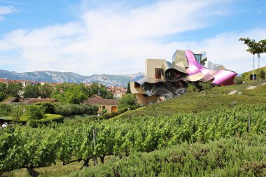 Bask Bölgesi Elciego 'daki Marquis de Riscal Oteli, üzüm bağları olan tepeler arasında. İspanya 22 Haziran 2019.