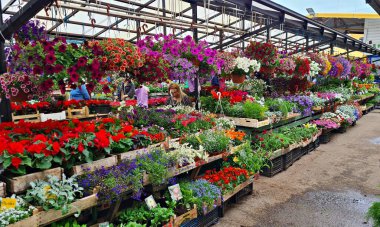 Many different varieties of flowers in beautiful colors in the city's agricultural market.