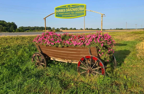 Cart Many Flowers Stands Road Small Town Durbe Latvia Warm — Stock Photo, Image