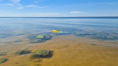 Yeşil yosunlarla kaplı taşlar kumlu deniz tabanında yatıyor..