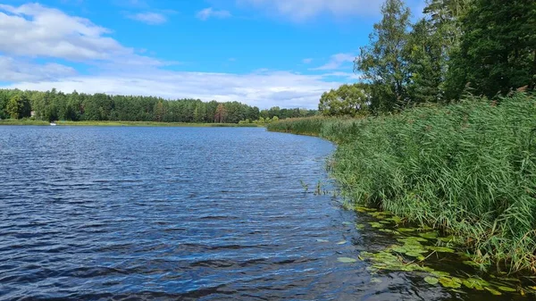 Solnedgång Molnig Himmel Över Bred Flod Med Grön Skog Dess — Stockfoto