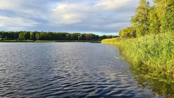 Solnedgång Molnig Himmel Över Bred Flod Med Grön Skog Dess — Stockfoto