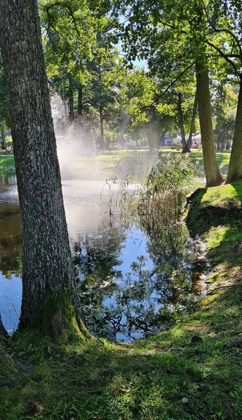Water spray fountain in the center of small pond among the trees in the park.