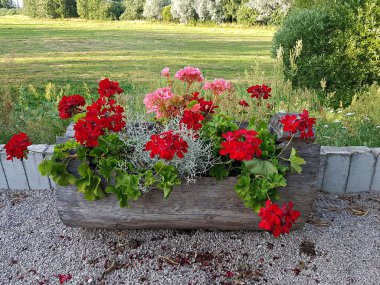 Bahçeyi düzenlemek için farklı çiçek çeşitleri soyut vazolara yerleştirilir..