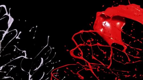 Splashes de tinta vermelha em macrofotografia — Vídeo de Stock